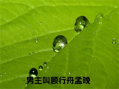 顾行舟孟晚全文小说（顾行舟孟晚）-完结版热文顾行舟孟晚小说免费阅读
