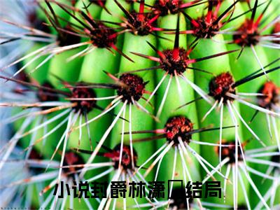 封爵林潇玥重生后，我踹掉渣男闪婚亿万总裁全文免费阅读_封爵林潇玥无弹窗最新章节