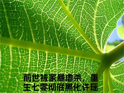 (番外)+(全文)前世被家暴虐杀，重生七零彻底黑化许瑶小说免费下载阅读_(前世被家暴虐杀，重生七零彻底黑化许瑶)前世被家暴虐杀，重生七零彻底黑化许瑶最新章节列表_笔趣阁（前世被家暴虐杀，重生七零彻底黑化许瑶）