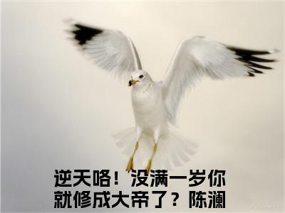 逆天咯！没满一岁你就修成大帝了？陈澜全网首发最新小说-逆天咯！没满一岁你就修成大帝了？陈澜全文在线免费阅读