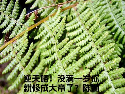 逆天咯！没满一岁你就修成大帝了？陈澜(逆天咯！没满一岁你就修成大帝了？陈澜)全文免费阅读无弹窗大结局_逆天咯！没满一岁你就修成大帝了？陈澜免费阅读_笔趣阁（逆天咯！没满一岁你就修成大帝了？陈澜）