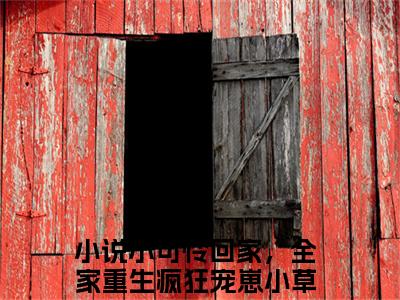 小可怜回家，全家重生疯狂宠崽小草小说最新章节试读_小可怜回家，全家重生疯狂宠崽小草是(小可怜回家，全家重生疯狂宠崽小草)小说主角热门推荐_笔趣阁