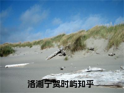 洛湘宁贺时屿小说（洛湘宁贺时屿）全文免费阅读无弹窗_洛湘宁贺时屿小说最新章节免费阅读_笔趣阁