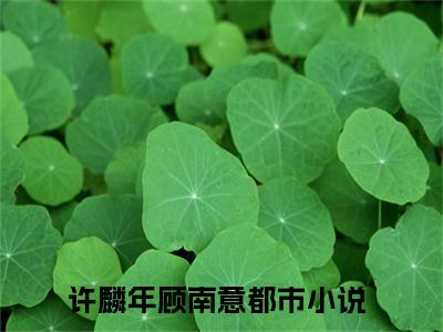 许麟年顾南意多人追免费无弹窗小说，许麟年顾南意已完结全集大结局