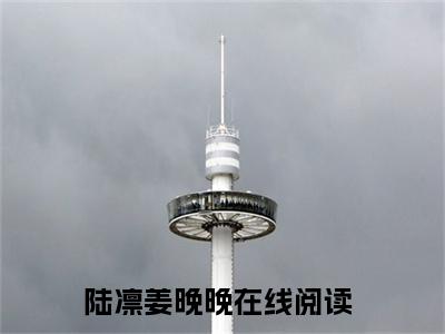 陆凛姜晚晚的小说全文免费阅读无弹窗大结局-《陆凛姜晚晚》完整章节阅读