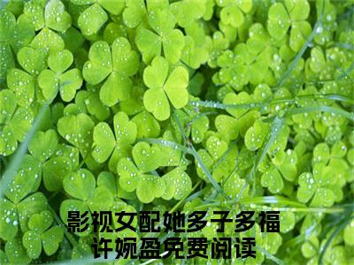 影视女配她多子多福许婉盈免费小说 影视女配她多子多福许婉盈完结版在线阅读