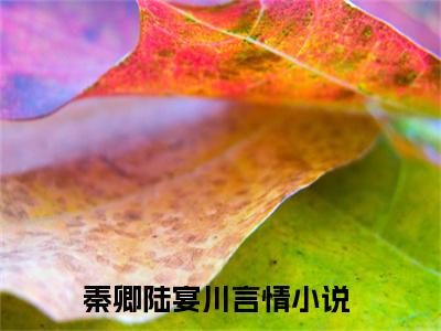 秦卿陆宴川全文免费阅读 秦卿陆宴川章节免费阅读