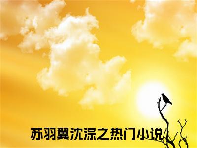 后续+全集苏羽翼沈淙之（完整版）热文小说阅读-苏羽翼沈淙之全文抖音热推
