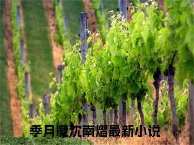 季月凝沈南熠（季月凝沈南熠）全文免费阅读无弹窗大结局_季月凝沈南熠最新章节列表_笔趣阁