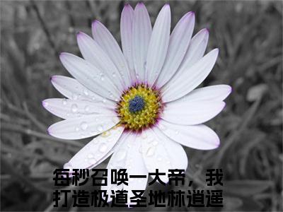 每秒召唤一大帝，我打造极道圣地林逍遥小说 每秒召唤一大帝，我打造极道圣地林逍遥免费章节阅读