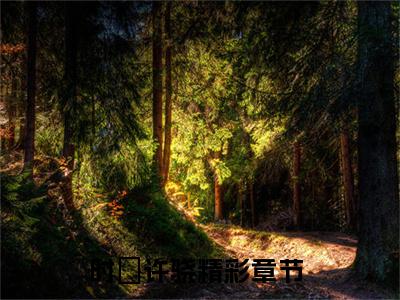 时玥许骁全文（时玥许骁）全文免费阅读无弹窗大结局_时玥许骁全文最新章节列表_笔趣阁（时玥许骁）