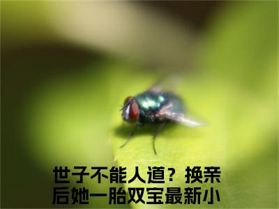 世子不能人道？换亲后她一胎双宝小说全文免费阅读_（世子不能人道？换亲后她一胎双宝）秋凝歌江枫眠小说最新章节列表笔趣阁