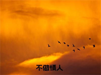 不做情人（凌颂季尧程最新全章节大结局）全文阅读