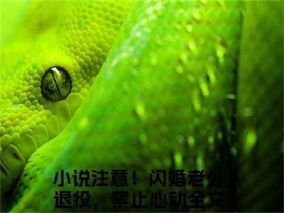 时峥花半夏全文（注意！闪婚老公退役，禁止心动）全文免费阅读无弹窗大结局_注意！闪婚老公退役，禁止心动全文免费阅读最新章节列表