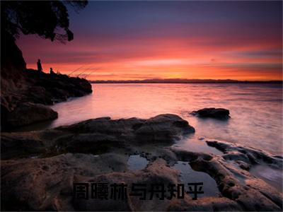 周曦林与舟免费（无关风月也无你）全文免费阅读无弹窗大结局_无关风月也无你免费最新章节列表_笔趣阁