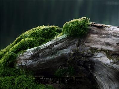 小说（绝色美人穿七零，被最强硬汉宠上天）苏安安周晏宸全文阅读-绝色美人穿七零，被最强硬汉宠上天（苏安安周晏宸）老书虫书荒推荐热点小说
