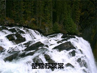 楚霖苏棠棠小说（黄昏映入你眼眸）完整版大结局-黄昏映入你眼眸小说免费阅读