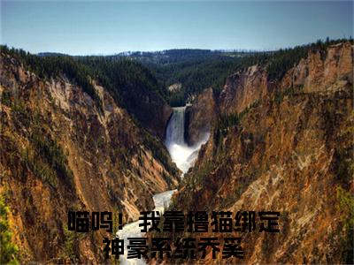 乔奚小说大结局全文免费阅读-抖音小说喵呜！我靠撸猫绑定神豪系统