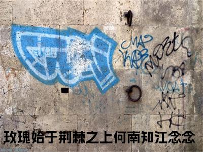 何南知江念念免费小说-玫瑰始于荆棘之上小说完整版阅读