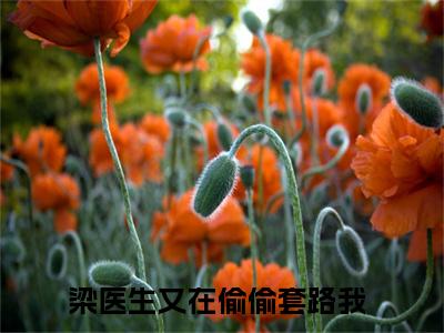 小说宋佳曦梁欢全文免费阅读无弹窗大结局-梁医生又在偷偷套路我宋佳曦梁欢免费阅读大结局