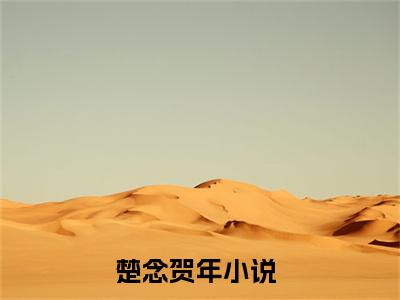 楚念贺年微小说免费阅读-楚念贺年言情小说阅读