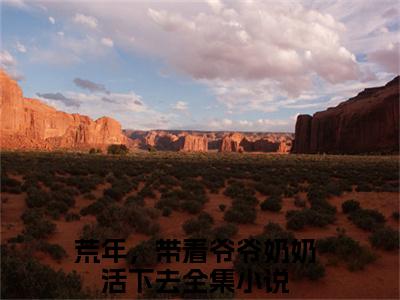 荒年，带着爷爷奶奶活下去（岁禾）全文免费阅读无弹窗-岁禾小说完整版在线阅读