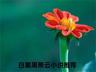 白篱周景云（白篱梦）是什么小说-（白篱梦）无弹窗免费阅读大结局最新章节列表_笔趣阁