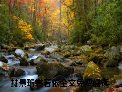 替嫁医妃，带着空间流放千里（赫景珩裳若依）全文免费阅读无弹窗大结局_替嫁医妃，带着空间流放千里全文完整无删减版免费阅读