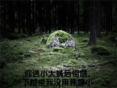 你选小太妹后悔啥，下跪求我没用林萱正版小说最新章节在线阅读-完结版小说（你选小太妹后悔啥，下跪求我没用林萱）