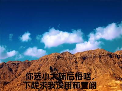 你选小太妹后悔啥，下跪求我没用林萱言情小说免费观看-小说(你选小太妹后悔啥，下跪求我没用林萱)最新章节阅读在线赏析