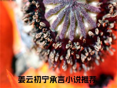 姜云初宁承言(姜云初宁承言)全文免费阅读无弹窗大结局_(姜云初宁承言免费阅读全文大结局)最新章节列表_笔趣阁（姜云初宁承言）