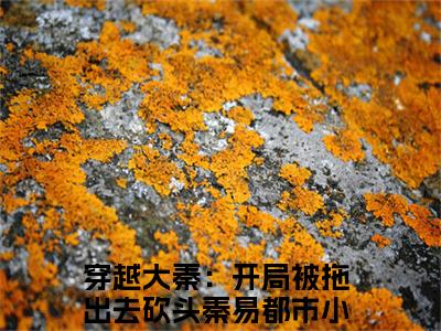 穿越大秦：开局被拖出去砍头秦易（穿越大秦：开局被拖出去砍头秦易小说）全文免费阅读无弹窗大结局_(穿越大秦：开局被拖出去砍头秦易小说)最新章节列表_笔趣阁（穿越大秦：开局被拖出去砍头秦易）