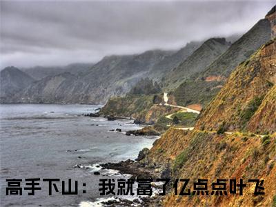 高手下山：我就富了亿点点叶飞小说最新章节（高手下山：我就富了亿点点叶飞全文免费）小说全集无弹窗大结局_高手下山：我就富了亿点点叶飞最新章节列表_笔趣阁（高手下山：我就富了亿点点叶飞）