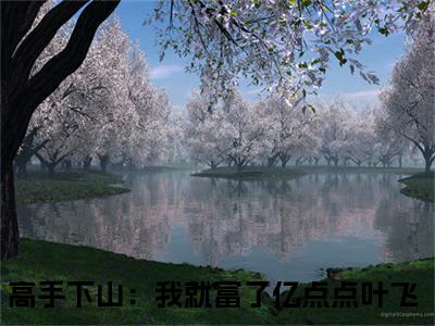 高手下山：我就富了亿点点叶飞现言热文高手下山：我就富了亿点点叶飞在线阅读-（高手下山：我就富了亿点点叶飞）小说分享大结局高手下山：我就富了亿点点叶飞