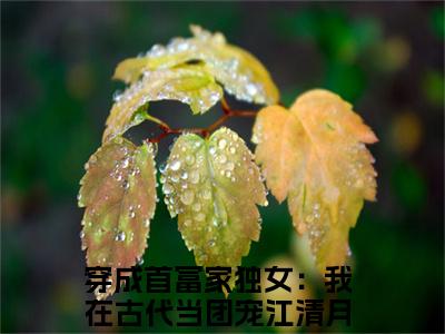 穿成首富家独女：我在古代当团宠江清月（穿成首富家独女：我在古代当团宠江清月）全文免费阅读-穿成首富家独女：我在古代当团宠江清月最新章节列表_笔趣阁
