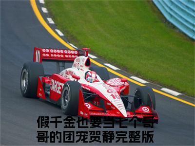 假千金也要当七个哥哥的团宠贺静大结局免费阅读 假千金也要当七个哥哥的团宠贺静全文小说