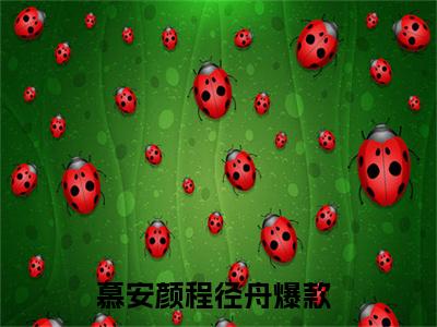 重生一世，她依旧没能得到程径舟的爱（慕安颜程径舟）小说全文免费阅读无弹窗_（慕安颜程径舟）最新章节列表_笔趣阁
