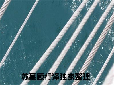 顾总别装高冷男了，我攻略错人了（苏堇顾行泽小说）全文免费阅读无弹窗大结局_顾总别装高冷男了，我攻略错人了最新章节