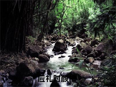 应礼时颜橘橘子糖，酸甜，像你免费小说橘子糖，酸甜，像你全文无弹窗完整版阅读