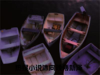 沐向晚傅新泽小说全文免费阅读_玫瑰盛开于九霄（沐向晚傅新泽）最新章节列表笔趣阁