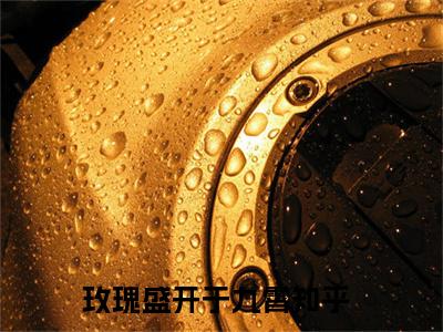 沐向晚傅新泽小说免费阅读玫瑰盛开于九霄免费阅读无弹窗小说