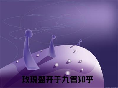沐向晚傅新泽小说免费阅读玫瑰盛开于九霄免费阅读无弹窗小说