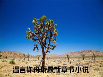 温言许舟珩（重生后，别怪我对你爱搭不理）小说全文无删减版完整版_温言许舟珩最新章节列表_笔趣阁