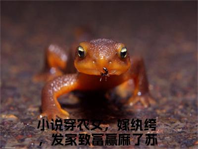 穿农女，嫁纨绔，发家致富赢麻了苏小小全文免费阅读-穿农女，嫁纨绔，发家致富赢麻了苏小小最新章节小说阅读