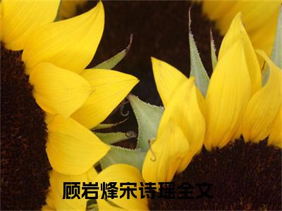 顾岩烽宋诗瑶小说全文阅读无弹窗大结局_（顾岩烽宋诗瑶）最新章节列表_笔趣阁