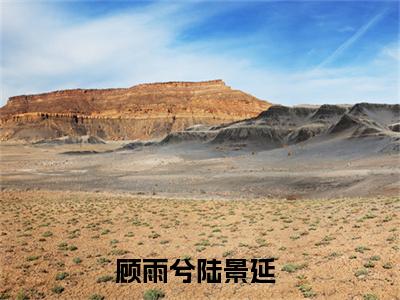 顾雨兮陆景延的小说全文免费阅读，小说名字是顾雨兮陆景延的小说全资源免费阅读结局无删节