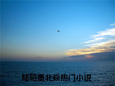 灾年换亲！恶女新婚夜压死病夫君小说（陆昭墨北焱）全文免费阅读无弹窗大结局_陆昭墨北焱小说免费阅读无弹窗最新章节列表