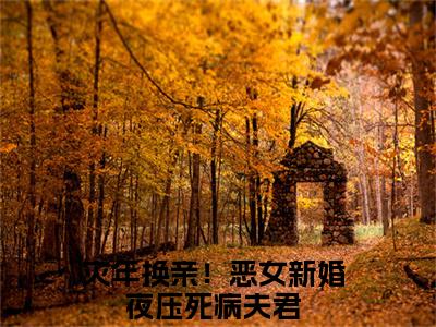 陆昭墨北焱（灾年换亲！恶女新婚夜压死病夫君）最火婚恋小说-（灾年换亲！恶女新婚夜压死病夫君）全文免费阅读笔趣阁