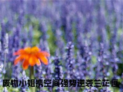 废物小姐携空间强势逆袭兰芷恒小说推荐-废物小姐携空间强势逆袭兰芷恒在线阅读无删版