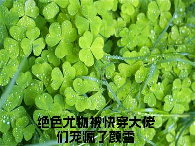 绝色尤物被快穿大佬们宠疯了颜雪（绝色尤物被快穿大佬们宠疯了颜雪）全文免费阅读_绝色尤物被快穿大佬们宠疯了颜雪最新章节列表_笔趣阁